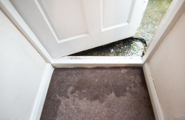 Wet Carpet Restoration in Manassas