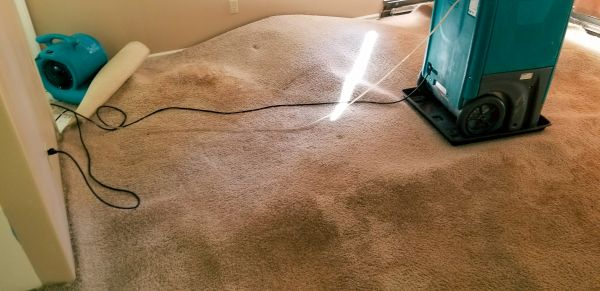 Carpet Water Extraction in Manassas